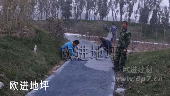 彩色压模地坪-欧进地坪www.3cwa3.cn