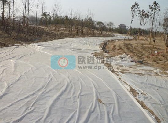 彩色生态透水混凝土地坪-欧进建材www.3cwa3.cn